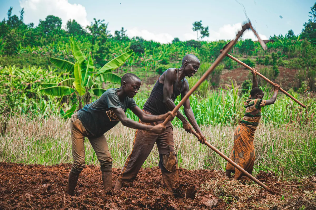 Smallholder farmers hand-tilling a field for the DLT Agricultural Empowerment Program